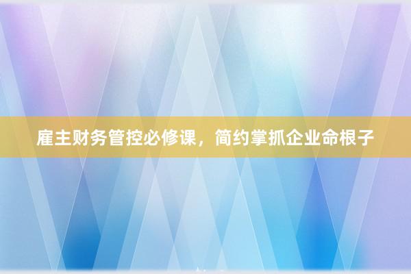 雇主财务管控必修课，简约掌抓企业命根子