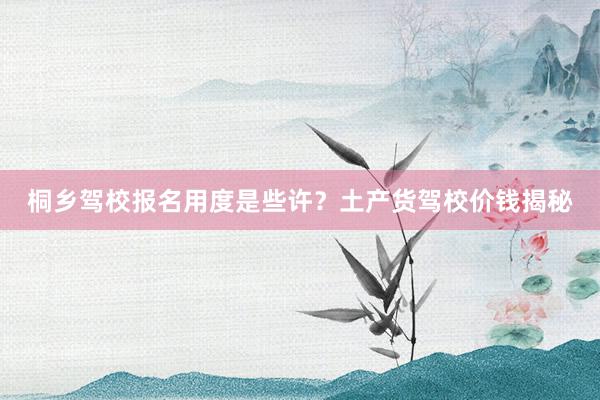桐乡驾校报名用度是些许？土产货驾校价钱揭秘