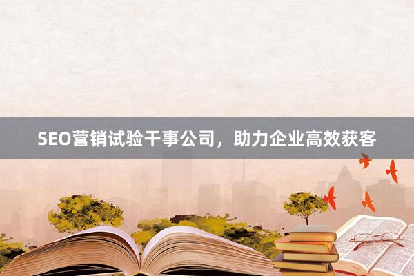 SEO营销试验干事公司，助力企业高效获客