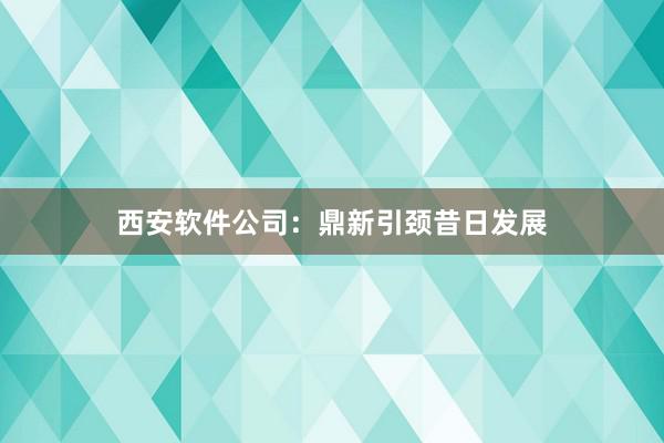 西安软件公司：鼎新引颈昔日发展