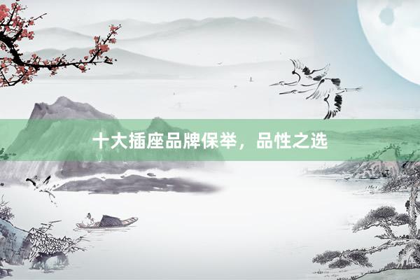 十大插座品牌保举，品性之选