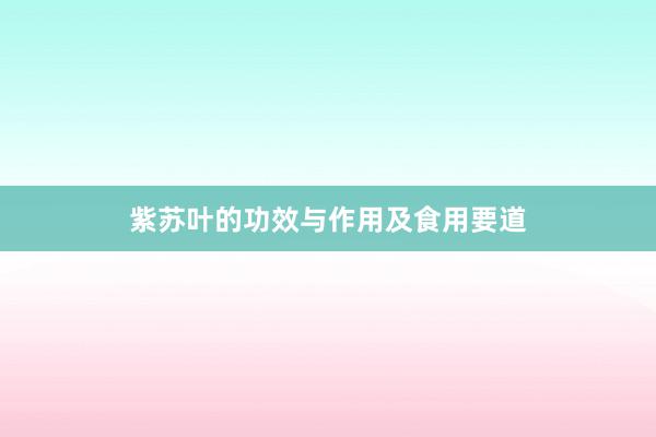 紫苏叶的功效与作用及食用要道